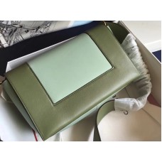 Geantă de umăr Celine Medium Frame Calskin albastră și verde