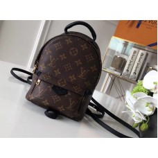 Rucsac Louis Vuitton Monogram Canvas Palm Springs Mini m41562